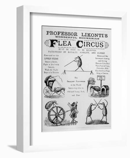 Broadsheet Advertising Professor Likonti's Romanian Flea Circus During Visit to London-null-Framed Photographic Print