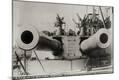 Photographic Print