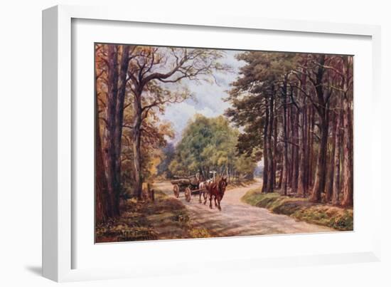 Broadwater Forest, Tunbridge Wells-Alfred Robert Quinton-Framed Giclee Print