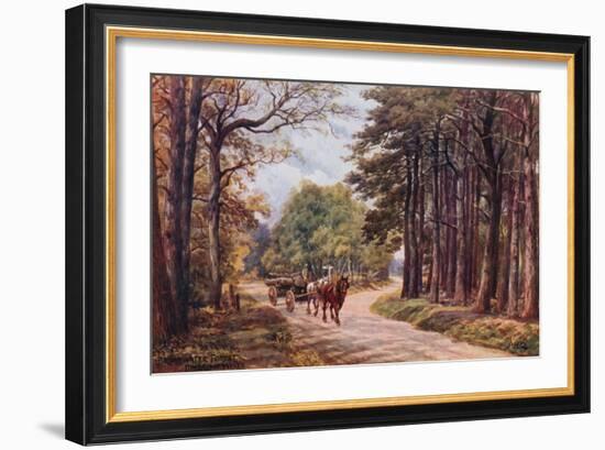 Broadwater Forest, Tunbridge Wells-Alfred Robert Quinton-Framed Giclee Print