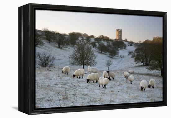 Broadway Tower and Sheep in Morning Frost, Broadway, Cotswolds, Worcestershire, England, UK-Stuart Black-Framed Premier Image Canvas