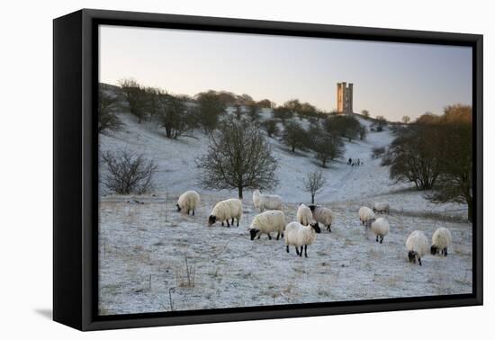 Broadway Tower and Sheep in Morning Frost, Broadway, Cotswolds, Worcestershire, England, UK-Stuart Black-Framed Premier Image Canvas