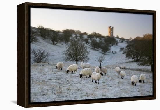 Broadway Tower and Sheep in Morning Frost, Broadway, Cotswolds, Worcestershire, England, UK-Stuart Black-Framed Premier Image Canvas