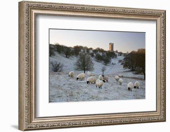 Broadway Tower and Sheep in Morning Frost, Broadway, Cotswolds, Worcestershire, England, UK-Stuart Black-Framed Photographic Print