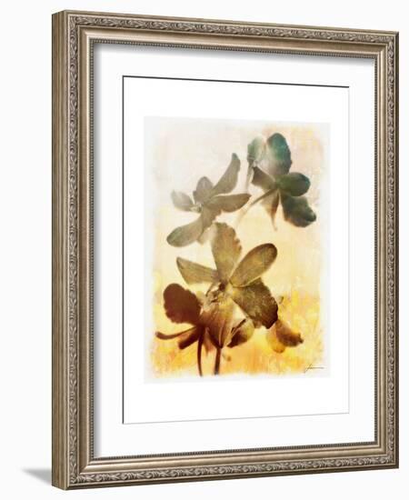 Brocade Garden III-James Burghardt-Framed Art Print