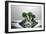 Broccoli FreshSplash-Steve Gadomski-Framed Photographic Print