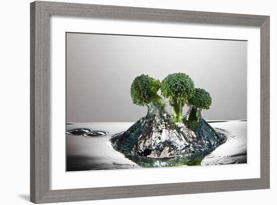 Broccoli FreshSplash-Steve Gadomski-Framed Photographic Print