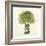 Broccoli-Kristin Emery-Framed Art Print