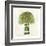 Broccoli-Kristin Emery-Framed Art Print