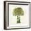 Broccoli-Kristin Emery-Framed Art Print