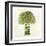 Broccoli-Kristin Emery-Framed Art Print