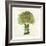 Broccoli-Kristin Emery-Framed Art Print