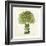 Broccoli-Kristin Emery-Framed Art Print