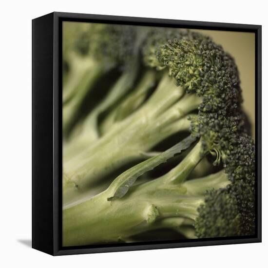 Broccoli-Cristina-Framed Premier Image Canvas