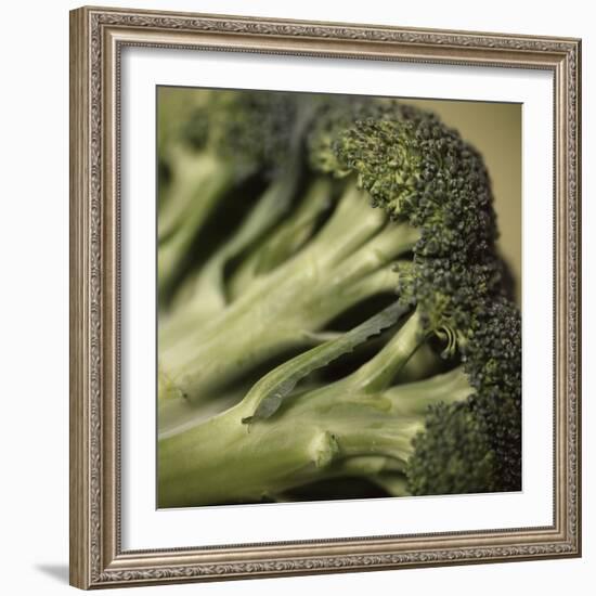 Broccoli-Cristina-Framed Premium Photographic Print