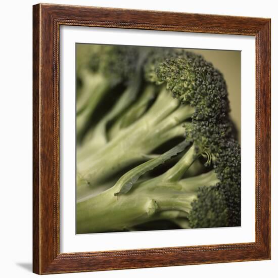 Broccoli-Cristina-Framed Premium Photographic Print