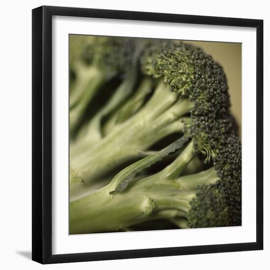 Broccoli-Cristina-Framed Premium Photographic Print