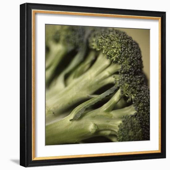 Broccoli-Cristina-Framed Premium Photographic Print
