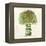 Broccoli-Kristin Emery-Framed Stretched Canvas