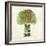 Broccoli-Kristin Emery-Framed Art Print