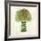 Broccoli-Kristin Emery-Framed Art Print