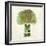 Broccoli-Kristin Emery-Framed Art Print