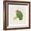 Broccoli-Sheldon Lewis-Framed Art Print