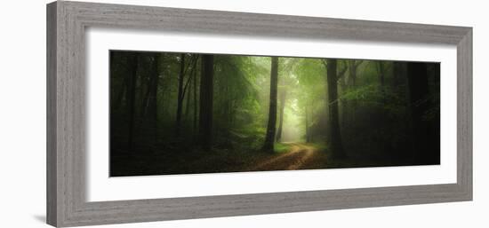 Broceliande, Bretagne - France-Philippe Manguin-Framed Photographic Print