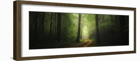 Broceliande, Bretagne - France-Philippe Manguin-Framed Photographic Print