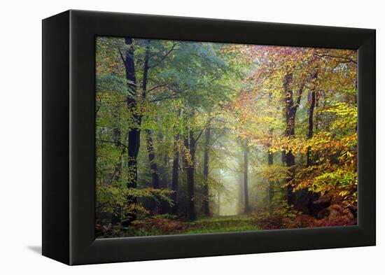 Brocéliande colored forest-Philippe Manguin-Framed Premier Image Canvas