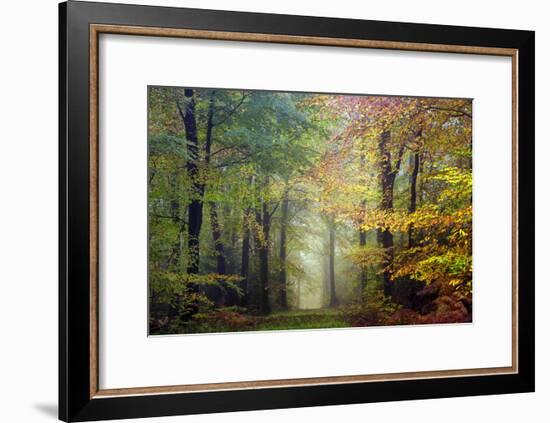 Brocéliande colored forest-Philippe Manguin-Framed Photographic Print