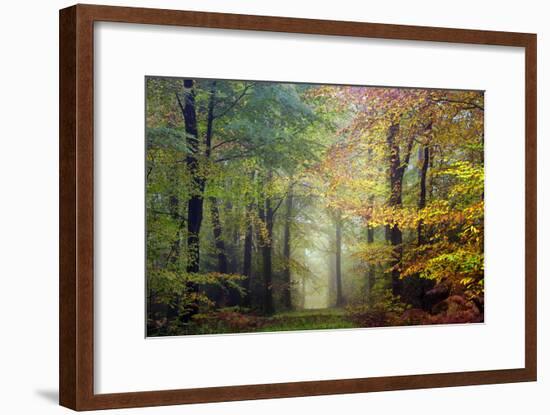 Brocéliande colored forest-Philippe Manguin-Framed Photographic Print