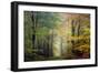 Brocéliande colored forest-Philippe Manguin-Framed Photographic Print