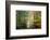 Brocéliande colored forest-Philippe Manguin-Framed Photographic Print