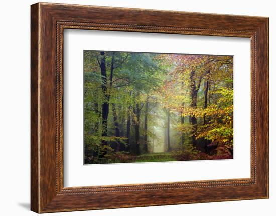 Brocéliande colored forest-Philippe Manguin-Framed Photographic Print