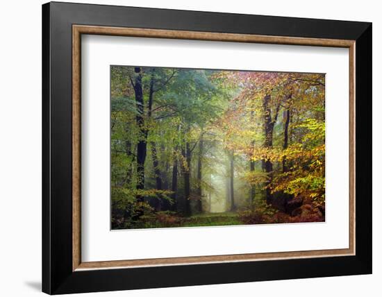 Brocéliande colored forest-Philippe Manguin-Framed Photographic Print