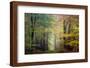 Brocéliande colored forest-Philippe Manguin-Framed Photographic Print