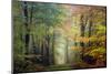 Brocéliande colored forest-Philippe Manguin-Mounted Photographic Print