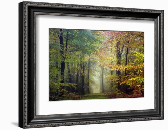 Brocéliande colored forest-Philippe Manguin-Framed Photographic Print