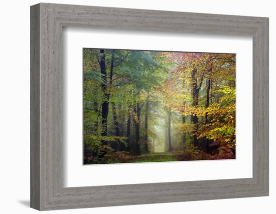 Brocéliande colored forest-Philippe Manguin-Framed Premium Photographic Print