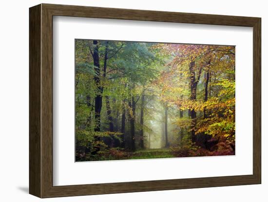 Brocéliande colored forest-Philippe Manguin-Framed Premium Photographic Print