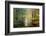 Brocéliande colored forest-Philippe Manguin-Framed Premium Photographic Print