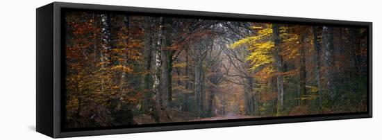 Broceliande Panoramic-Philippe Manguin-Framed Premier Image Canvas