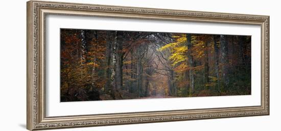 Broceliande Panoramic-Philippe Manguin-Framed Photographic Print