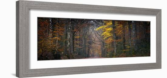 Broceliande Panoramic-Philippe Manguin-Framed Photographic Print