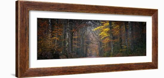 Broceliande Panoramic-Philippe Manguin-Framed Photographic Print