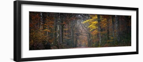 Broceliande Panoramic-Philippe Manguin-Framed Photographic Print
