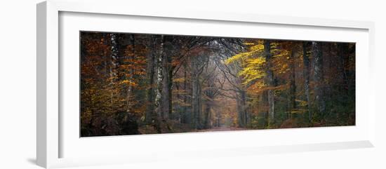 Broceliande Panoramic-Philippe Manguin-Framed Photographic Print