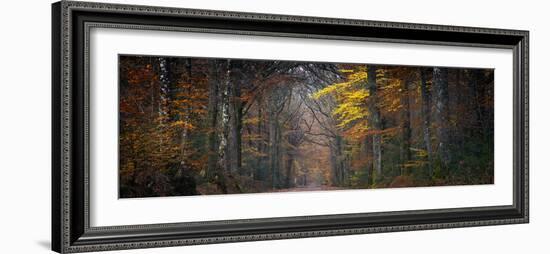 Broceliande Panoramic-Philippe Manguin-Framed Photographic Print