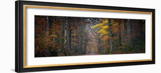Broceliande Panoramic-Philippe Manguin-Framed Photographic Print